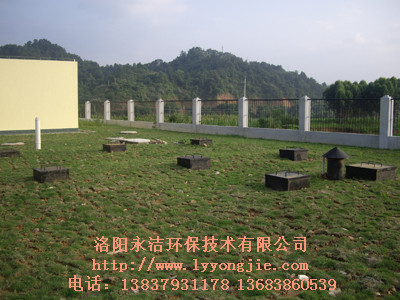 &#20048;&#40060;
